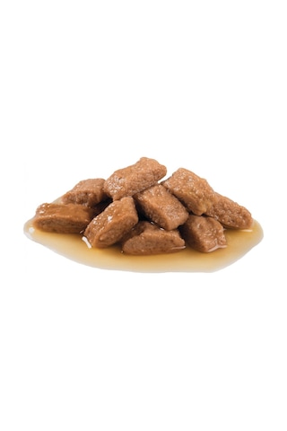 Royal Canin Medium Adult Orta Irk Yetişkin Köpek Yaş Maması 10 x 140 G