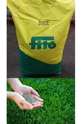 Çim Tohumu Lolium 25000 Gr Fito Shade Gölgeye Dayanıklı 3 Karışım
