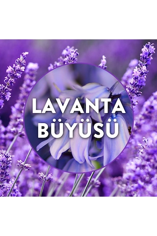 Elektrikli Oda Kokusu Yedek Şişe Lavanta Bahçesi 3x19 Ml