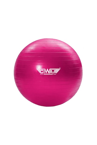 Ciwaa Cwa-2047 Pilates Topu 75 CM Pembe