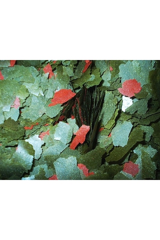 Veggie Green, Veggie Garlic Protein ve Flora 50gr Balık Yemi