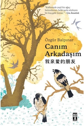 Düşperest Seti 5 Kitap Düşler Atlası-yeryüzünün Kalbi-canım Arkadaşım-göğü Yere-dünyayı