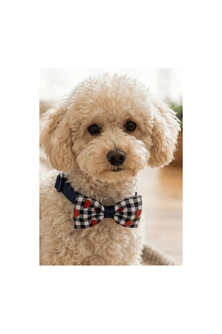 Köpek Papyon Tasma Lacivert Köpek Papyon Tasma Lacivert
