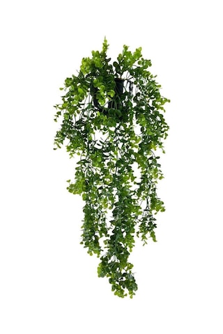 Yapay Çiçek Saksıda Sarkan Şimşir Okaliptus Yapay Sarmaşık 60Cm