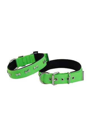 Actirex Neon Kemik Desenli Köpek Boyun Tasması Yeşil S 2.5 x 37 - 45 CM