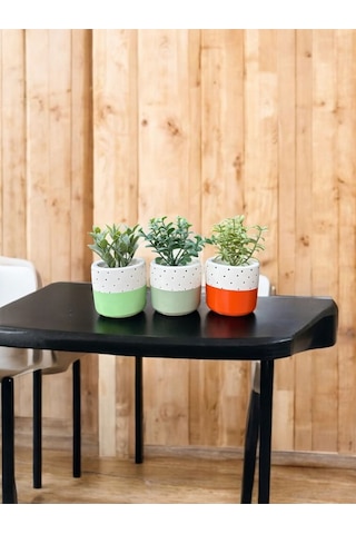 Renkli Saksı Seti Sukulent Kaktüs Dekoratif Eşya- Ev Dekorasyon - Saksı Seti 5