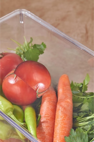 3 Lü Kapaklı Buzdolabı Organizeri & Buzdolabı Düzenleyici 4,5 Lt