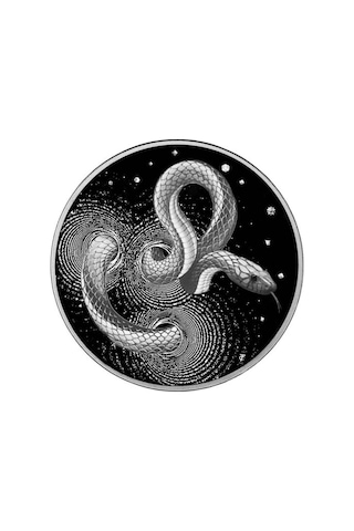 AgaKulche Yılan Gümüş Sikke Coin