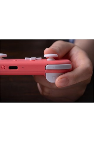 8bitdo Lite 2 Bluetooth Gamepad Switch, Switch Lite Pembe