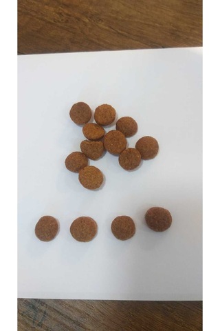 Yetişkin Köpek Kuru Maması Kuzulu Ve Pirinçli 15 Kg