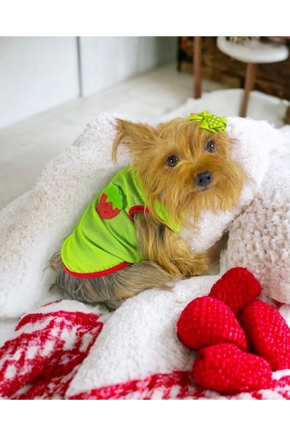Kemique Pink Strawberry Atlet Köpek Kıyafeti Köpek Elbisesi
