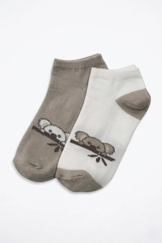 Cocole Socks Erkek Çocuk Patik Çorabı 2 Li Set Krem & Bej Koala Desenli Çok Renkli