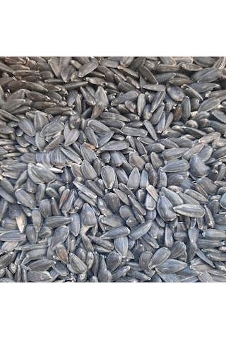 Yağlık Ayçekirdeği Tavuk Güvercin Sultan Papağanı Yemi 3 Kg