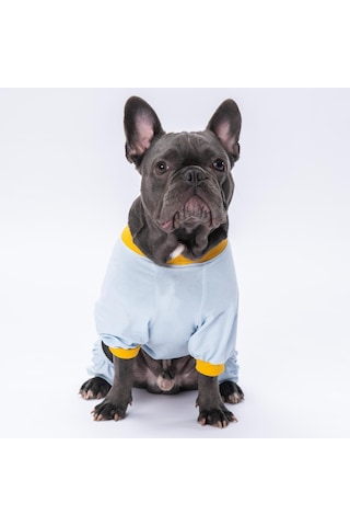 Pettrend Daffy Duck Kedi Köpek Kıyafeti Penye Tulum