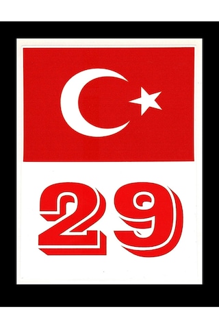 Türkiye Bayraklı Gümüşhane 29 Plaka Kodu Ön Cam Sticker