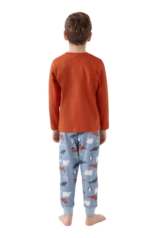 Roly Poly 2'li Takım 3422 Kiremit