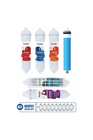 Master Reverse Osmosis System 10 Aşama Kapalı Kasa Su Arıtma Cihazı Filtresi