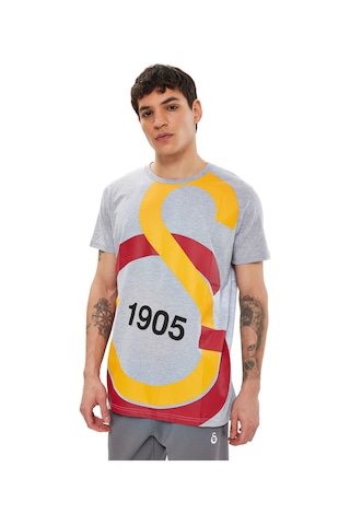 Gsstore Galatasaray Büyük Logolu Tee E88153 Gri Melanj