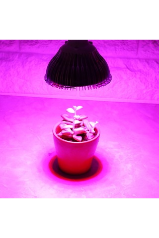 Ximistore9 E27 50w 85-265v 78 Led Tam Spektrum Bitki Işığı - Enerji Tasarruflu, Kolay Kurulum, 120 Derece Açısı