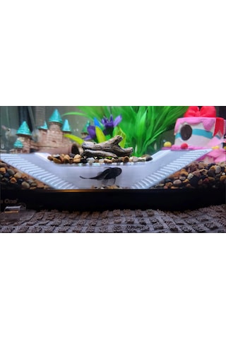 Akvaryum İçin Balık Mağarası Saklanma Ve Üreme Alanı 15x3x3 C