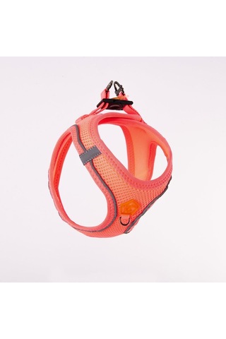 Pawstar Neon Pink - Neon Pembe Airmesh Köpek Göğüs Tasması Çok Renkli