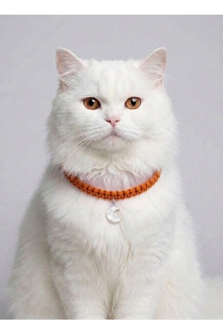 Turuncu El Örgüsü Makrome Kedi Tasması 27 Cm - Ay Figürlü Charm Şık Kedi Boyun Tasması