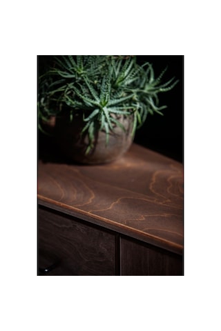 Woodesk Tronco, Ahşap, Dolap Ve Konsol, 190x115, Ceviz Renk