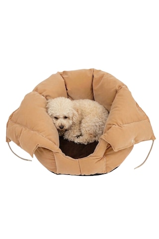 Reyo Max Design Maxie Dream Pouch Kedi Yuvası Ve Köpek Yatağı Latte Yumuşak, Konforlu Peluş Kedi Evi Ve Evcil Hayvan Yatağı