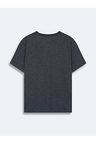 Ltb Jamabe Antrasit Erkek Sıfır Yaka Kısa Kol T-shirt 1225841866089218 Gri Koyu