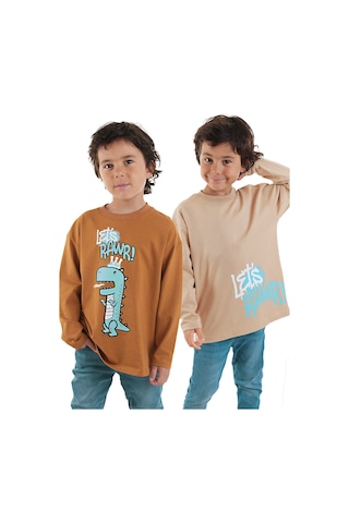 Denokids Let's Rawr Erkek Çocuk 2'li Paket T-shirt Renkli