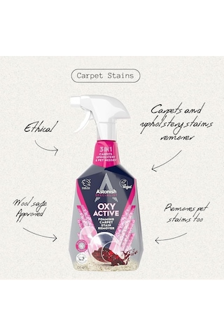 Astonish Koltuk Ve Halı Temizleyici Sprey 750 Ml