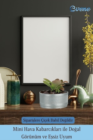 Saksı Kaktüs Saksısı Dekoratif Saksı Model 12 - Gümüş
