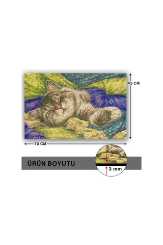 Tasarımlı Dekoratif Kapı Önü Paspas, Dış Mekan/ev İçi/banyo/mutfak/yatak Odası/giriş Paspasları Pastel Boya Çok Renkli