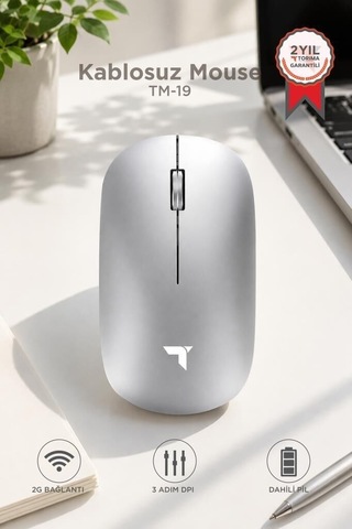 Mouse Çift Modlu Sessiz Kablosuz Fare Tm19 Gümüş Teknolojik Ürün Masaüstü Gereç Pratik Cihaz