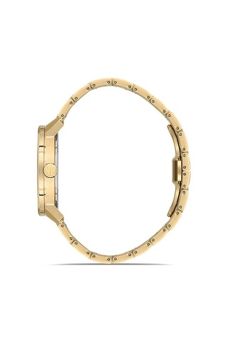 Hislon Cl214g-02sg Gold