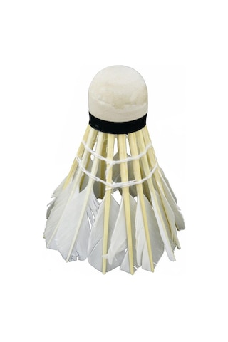 Delta Özel Kaz Tüyü Pratik Kutusunda 6 Adet Badminton Topu