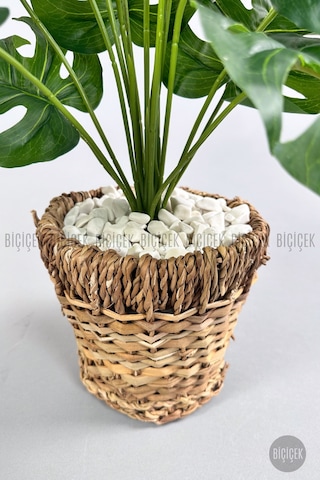 Biçiçek Yapay Monstera Deve Tabani 65 Cm Demi̇r Destekli̇ Kulpsuz Hasir Saksıda