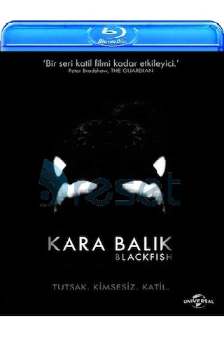 Blackfish - Kara Balık Blu-Ray