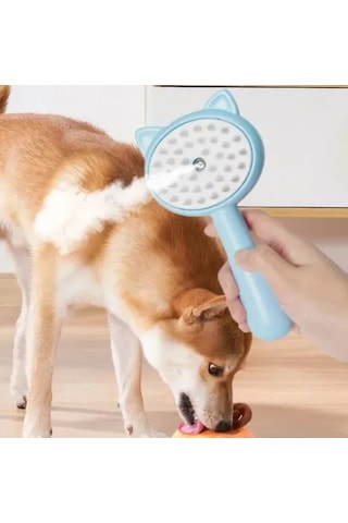 Büro Ev Evcil Hayvanı İçin Buharlı Kedi Köpek Masaj Tarağı