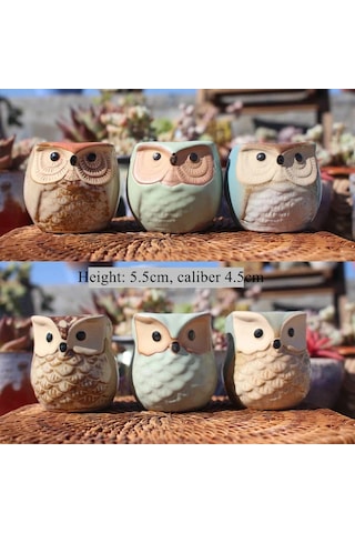 6 Adet Baykuş Etli Saksı Karikatür Başparmak Pot Taş Nefes