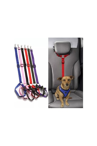 Köpek Emniyet Kemeri Ve Gezdirme Tasması, Sıfır Risk