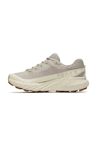 Merrell Agılıty Peak 5 Gtx Kadın Koşu Ayakkabısı J068702 Çok Renkli