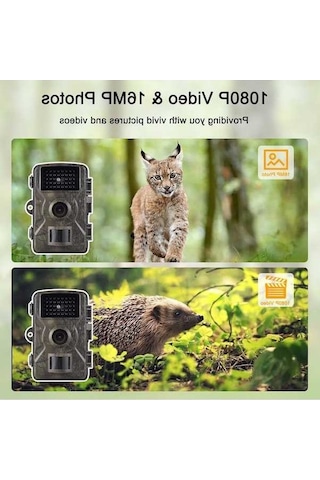 Dancemonkey Avcılık Kamerası 1080p 16mp Renkli Yaban Hayatı İzleme Kamerası 2.0 İnç Tft Yeşil