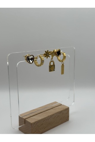 Arnes Jewelry Çelik Anahtarlı Zirkon Taşlı Kalpli 6 Lı Küpe Ar182nes Gold