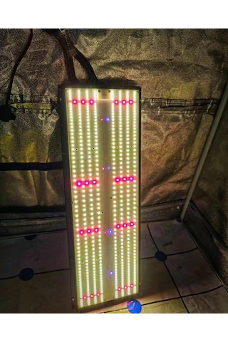 240w Cn2500 Evo Quantum Board Bitki Yetiştirme Lambası Grow Light