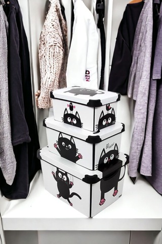 Style Box Meowdesenli 3 Parça Dekoratif Saklama Kutusu Seti Çok Renkli