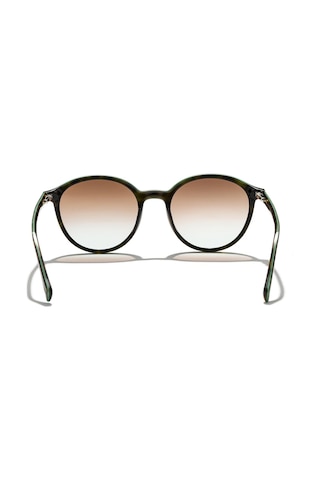 Zen Milano Eyewear Yhp8106-c1 50 Unisex Güneş Gözlüğü Yeşil