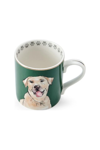 Mikasa Fine China 280 Ml Düz Taraflı Kupa Labrador Yeşil