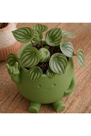 En-cag 3d Baskı Smiley Face Planter - Gülümseyen Karakterli Saksı-yeşil Bss Standart