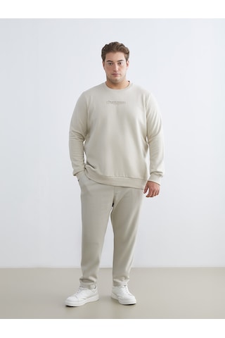 Lcwaıkıkı Classic Bej Büyük Beden Bisiklet Yaka Baskılı Kalın Erkek Sweatshirt